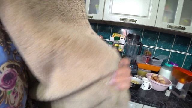 Влог от 10.09.2021 смотреть онлайн