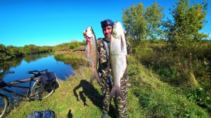 ВОТ ЭТО РЫБАЛКА. ПОПАЛ НА КОТЕЛ ЖЕРЕХА. КЛЮЮТ ИСКЛЮЧИТЕЛЬНО ПО ДВА. ОСЕННИЙ ВЫХОД ЖЕРЕХА. ЖОР ЖЕРЕХА