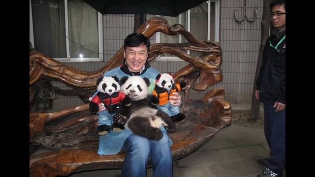 Джеки Чан ( Jackie Chan )