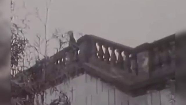 Поздравляем с Днём рождения Александру Николаевну Пахмутову и благодарим за светлое творчество... смотреть онлайн