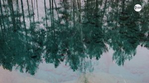 Голубые глаза Катуни 4К