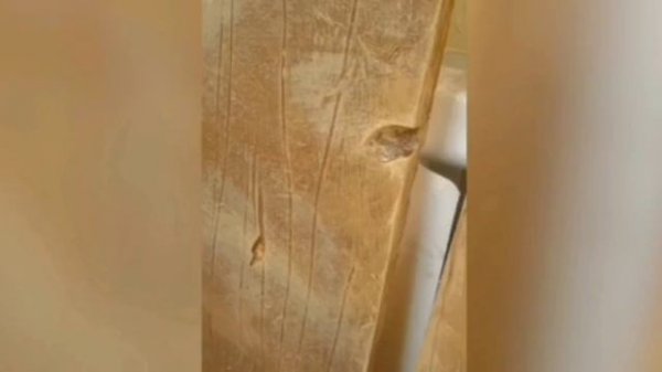 Портфолио 2016-2020гг.