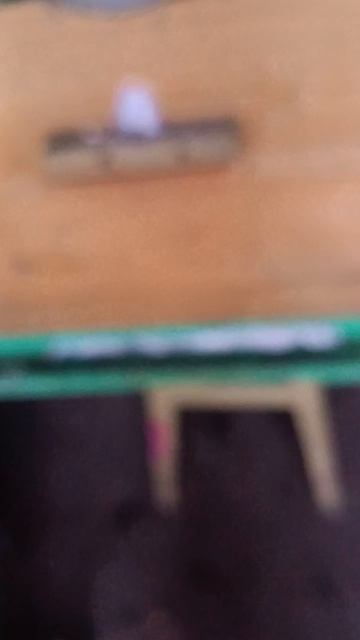 Как пчёлы сидят в омшанике, сразу после переезда #Красноярск смотреть онлайн