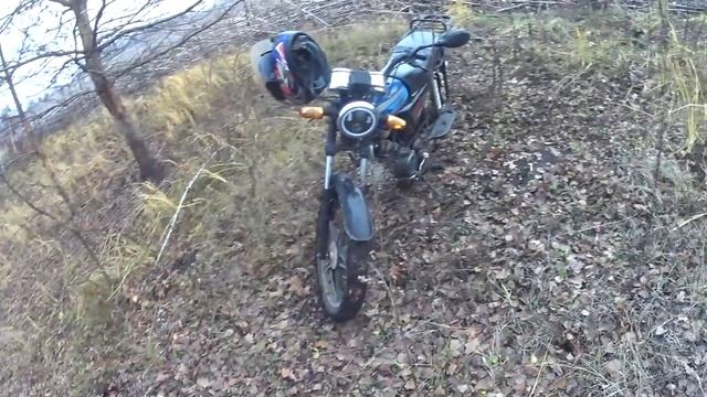 Поездка на Альфе в Матвеевку, где живут кабаны