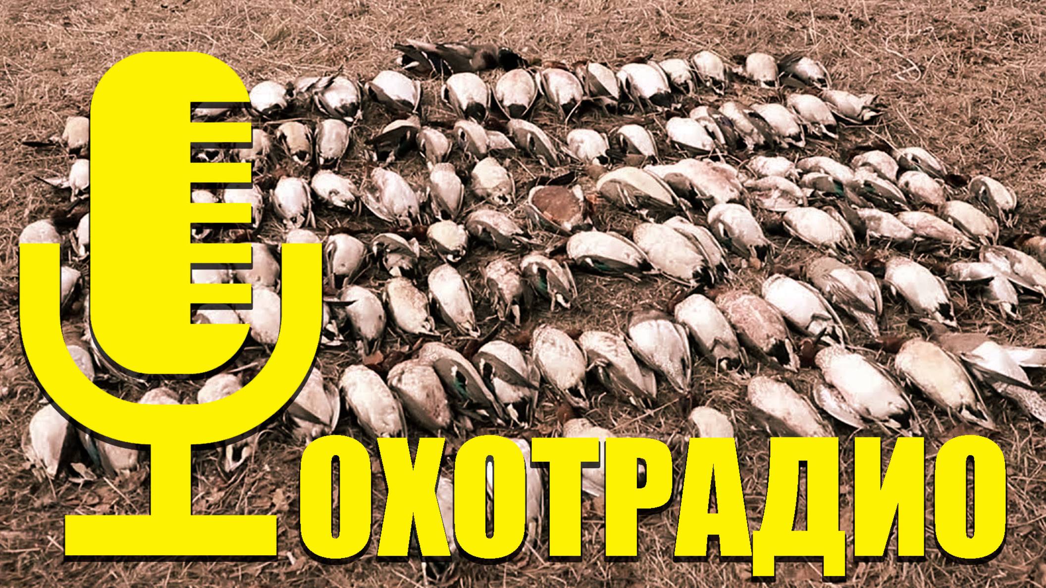 УНИКАЛЬНЫЙ СКРАДОК 5.5 КГ ДЛЯ ОХОТЫ НА ГУСЯ