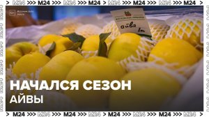 Сезонная айва появилась в продаже на московских ярмарках - Москва 24