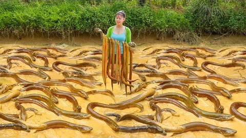 Наловила много угрей в грязном пруду, чтобы продать на деревенском рынке.