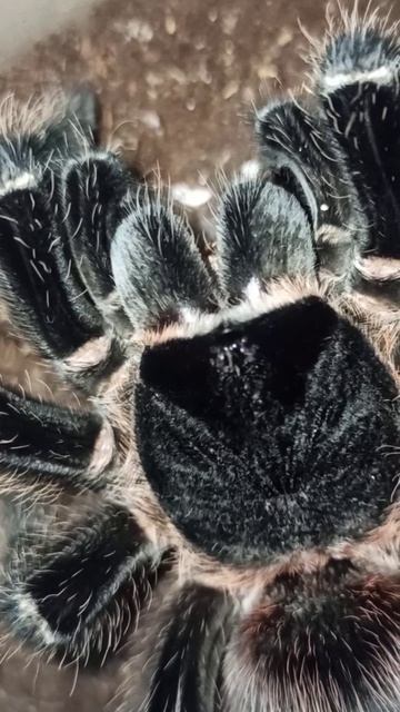 Приветик от Машеньки! 6 ноября 2025 г. смотреть онлайн