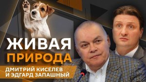 Дмитрий Киселев и Эдгард Запашный. Хочу завести собаку: с чего начать и как подготовиться?