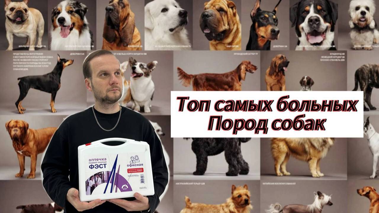 Самые больные породы собак смотреть онлайн