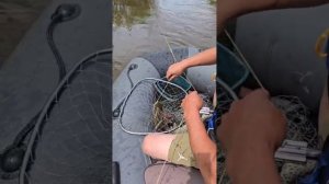 Рыбалка не Зее. Благовещенск