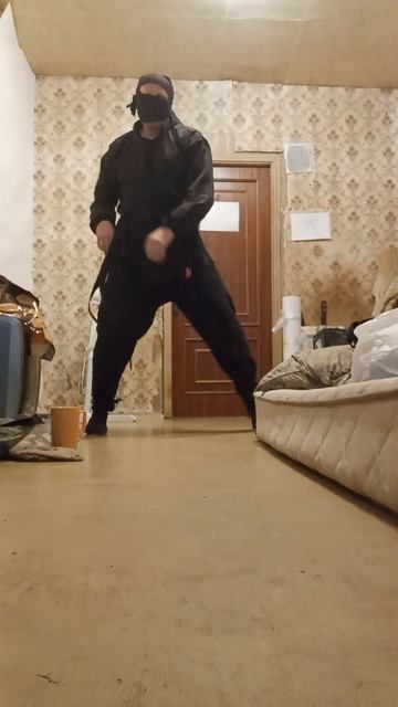 Крайне Северный Ниндзя: 9 Ноябрьское Чудо I (09.11.2025) Very Nordic Ninja: 9 November Wonder I #Art