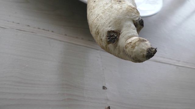 Забавный дайкон