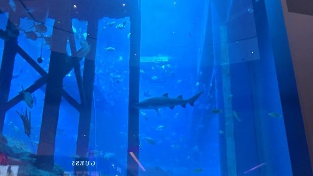 ТЦ Dubai Mall 2025 - 4K