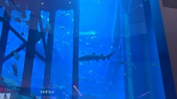 ТЦ Dubai Mall 2025 - 4K