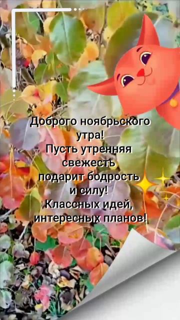 Доброго Ноябрьского Утра! смотреть онлайн