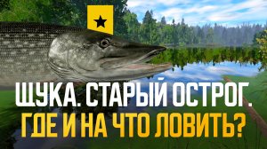 Три точки на Щуку. Старый Острог. Фарм и возможный трофей ● Русская рыбалка 4 ● Перчик РР4