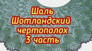 Шаль Шотландский чертополох  3 часть с 39 по 58 ряд