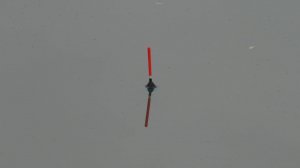 Клюёт на каждом опускании снасти . Рыбалка на поплавок