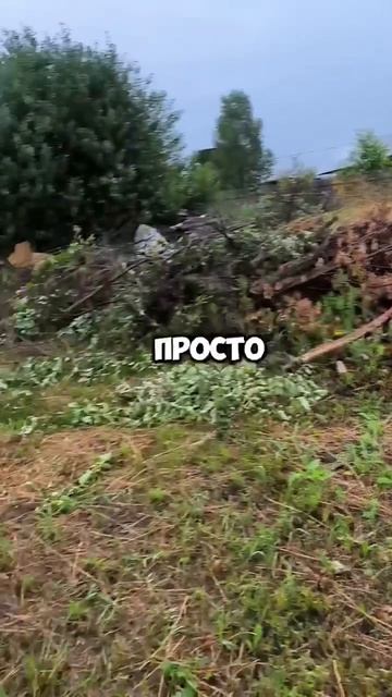 Купили дачу, первое лето 3 серия