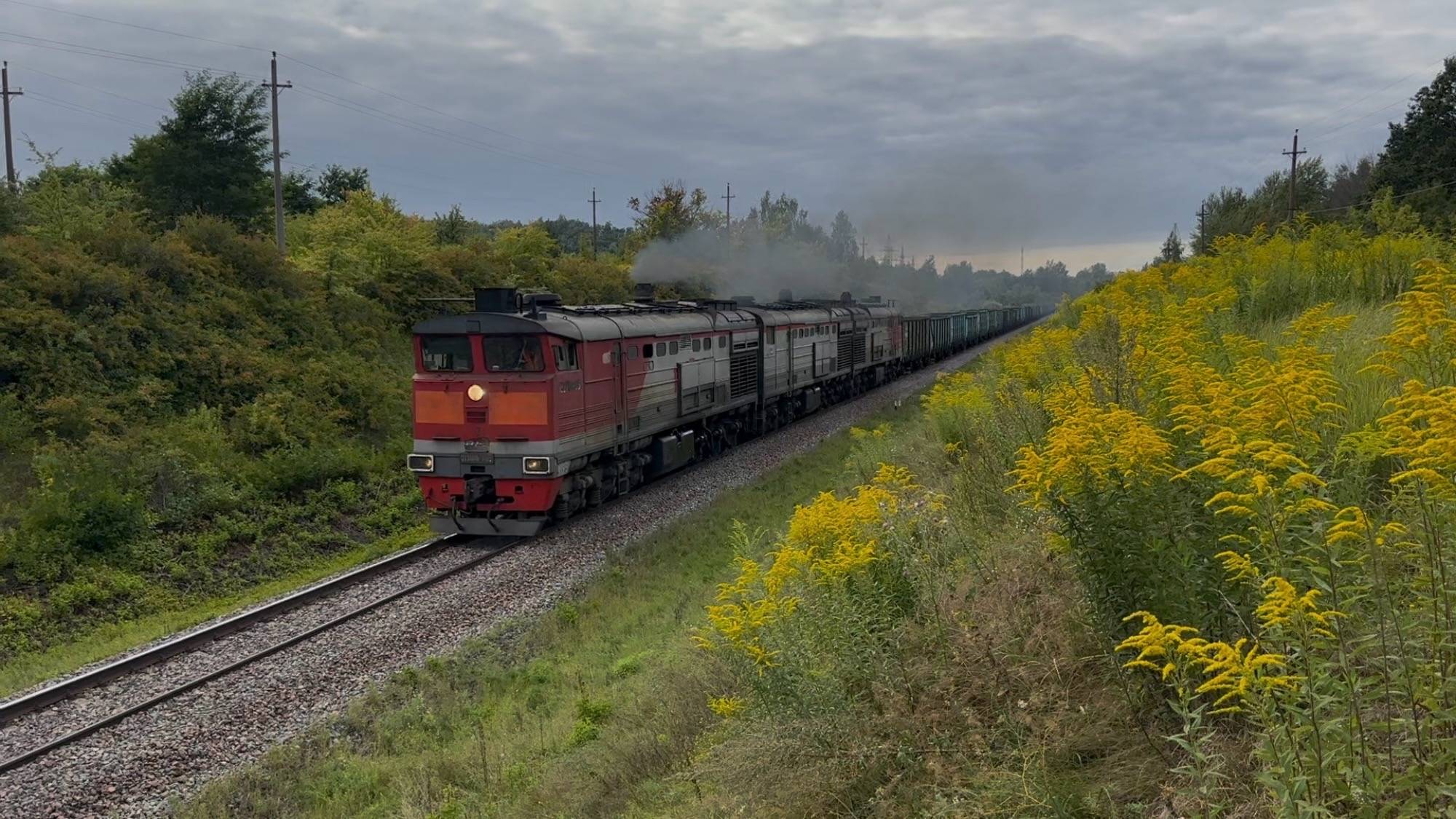 «Приветливый дал медведя!» Тепловоз 3ТЭ10МК-1195 с грузовым поездом на перегоне, 2025 год смотреть онлайн