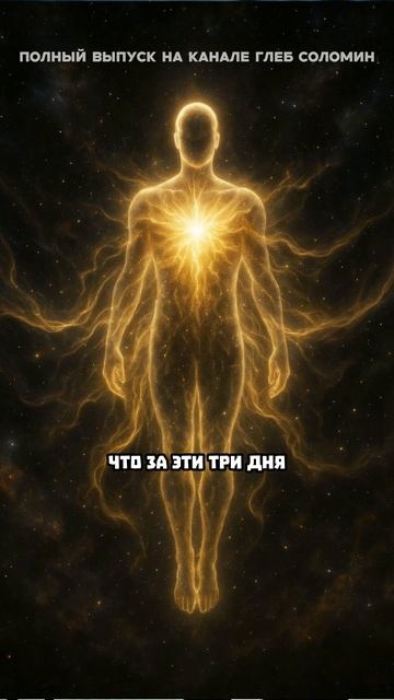 Сколько нужно тренироваться смотреть онлайн