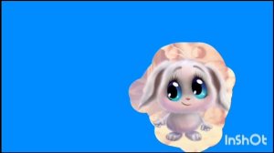 ня футажи для всех