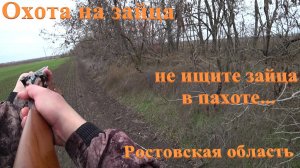 Охота на зайца...не ищите зайца в пахоте...Ростовская область