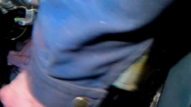 Возращение Багги, Обзор