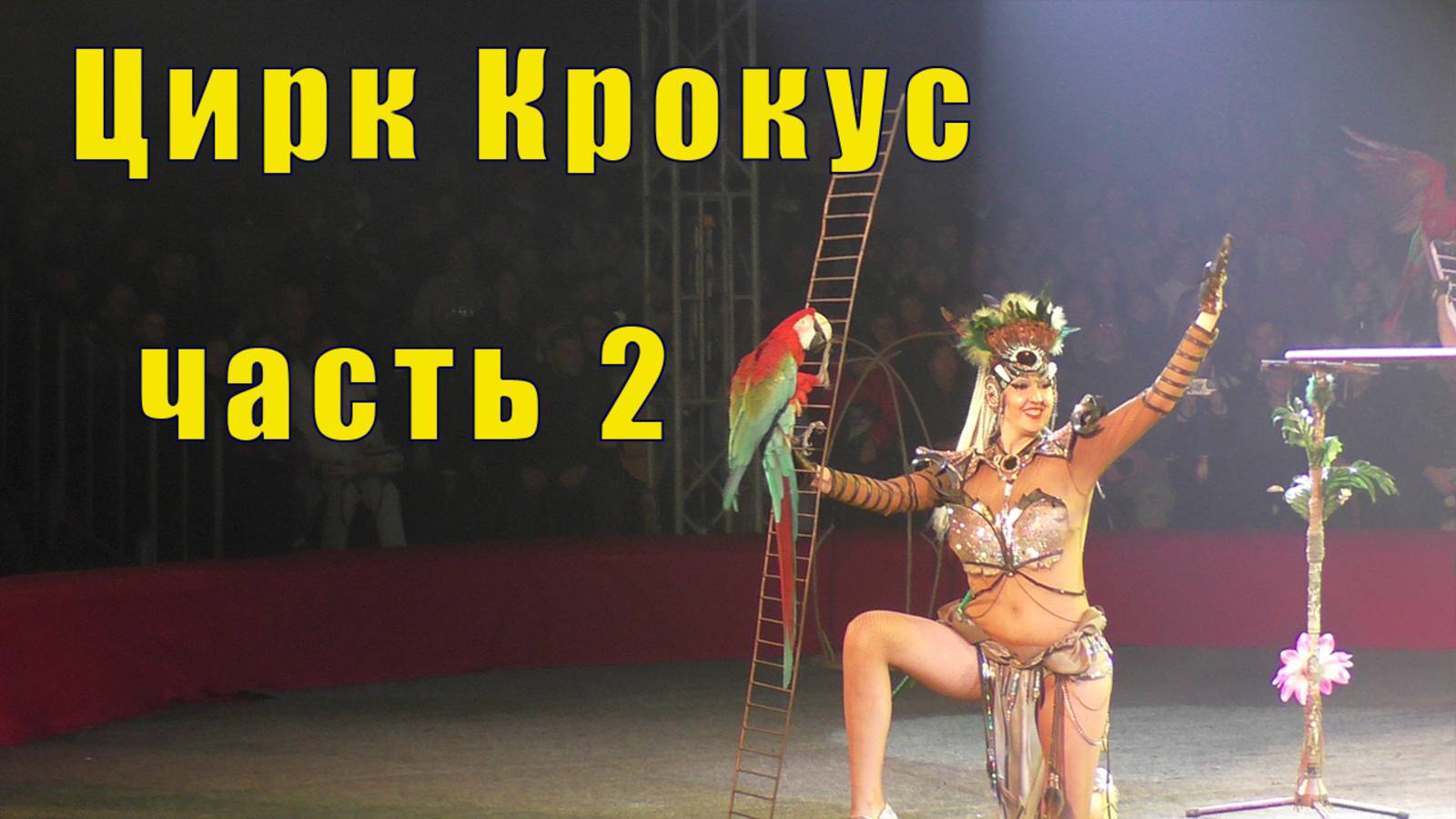 ЦИРК КРОКУС МУРМАНСК - ПРОДОЛЖЕНИЕ /01 ноября 2025 смотреть онлайн