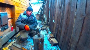 Про дорогих гостей, похолодание, шугу и другие житейские дела