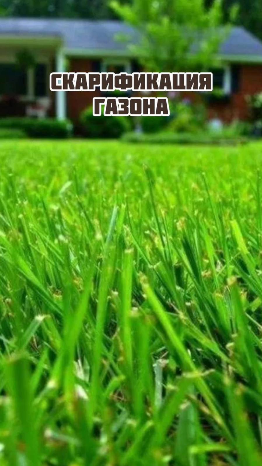 Скарификация газона осенью смотреть онлайн