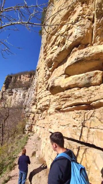 орлиная полка