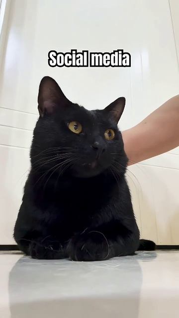 подпишитесь канала😁😁😁😁😁😁