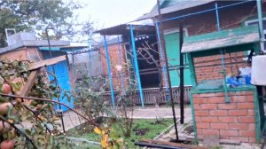 869 Живём Год в станице на юге Не нужно нас провоцировать Мы сами всё расскажем