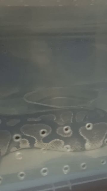 Наша обстановка. 5 ноября2025 г. смотреть онлайн