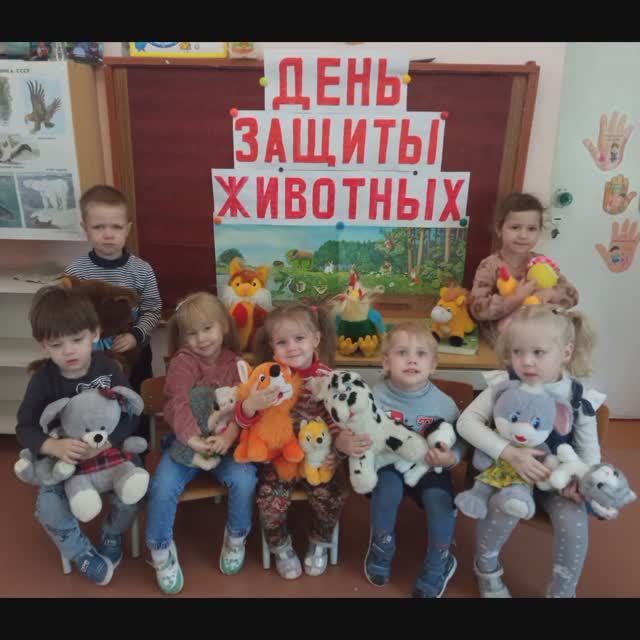 «Красочные, чудные животные!» смотреть онлайн