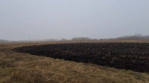 Осенние Безмолвие. Ноябрь месяц, Черноземье