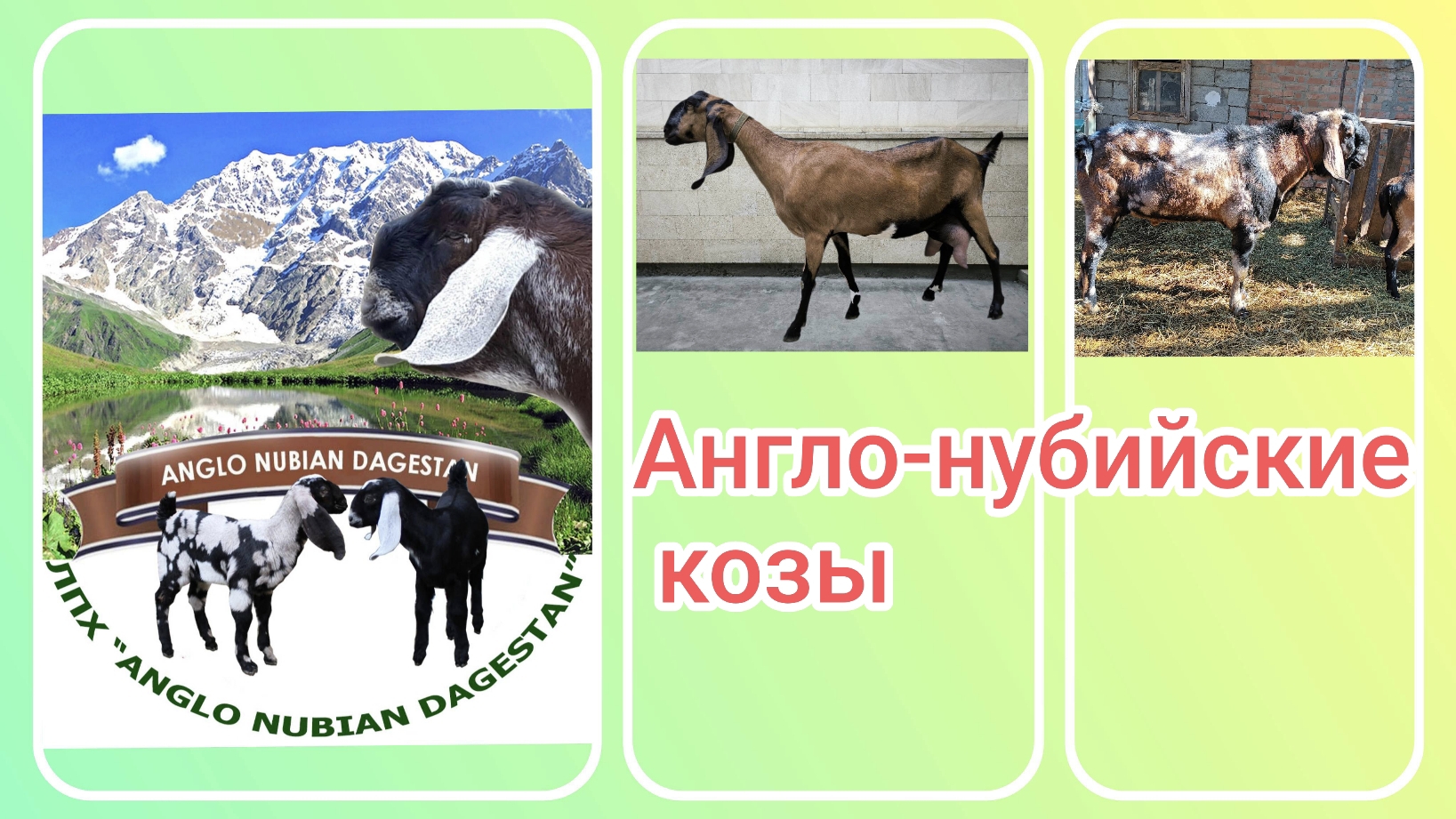 09-11-2025 смотреть онлайн