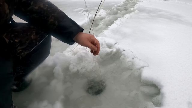 РЫБАЛКА НА КОСЫНКИ. ВОДА И РЫБА