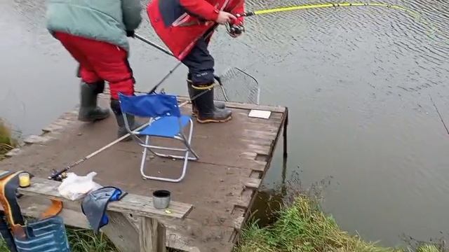 Форель номер..юю смотреть онлайн