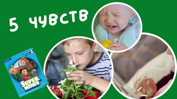 Think and Learn | SENSES | Super Minds 1 | Unit 1