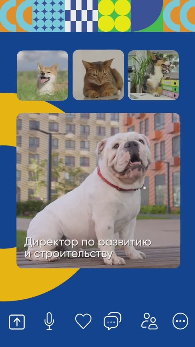 В «Пушистом офисе» снова кипит работа! смотреть онлайн