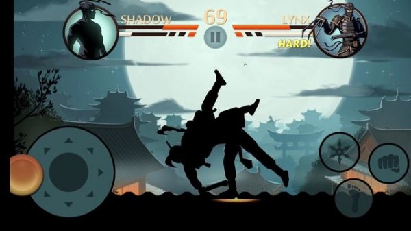 Shadow fight 2