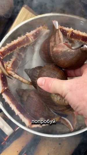 Крабы в пресноводной речке с красной икрой.