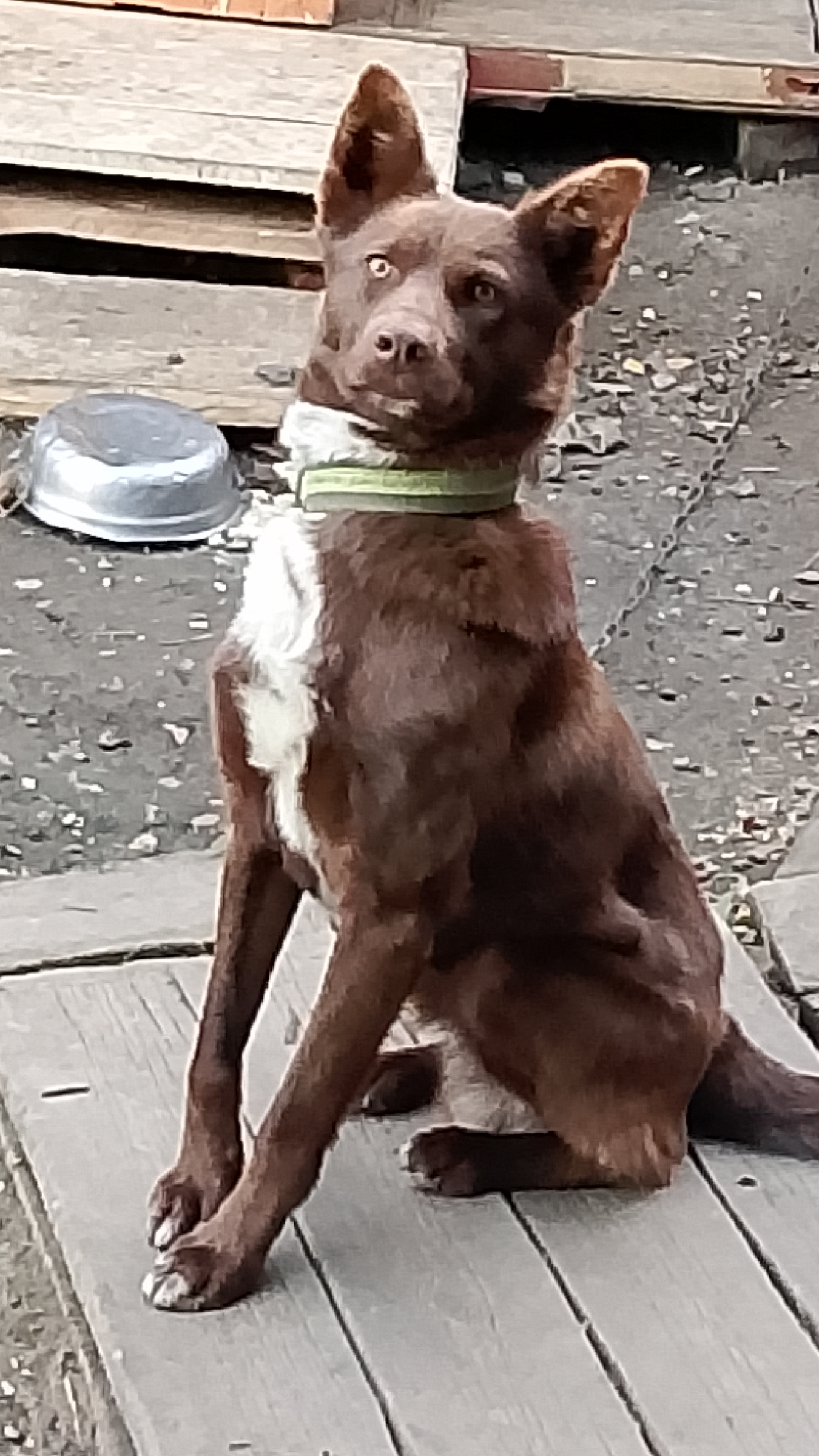 Вы, частица нашей души! ♥️ смотреть онлайн