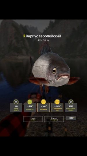 Вот такая рыбалка на реке Белой #рр4