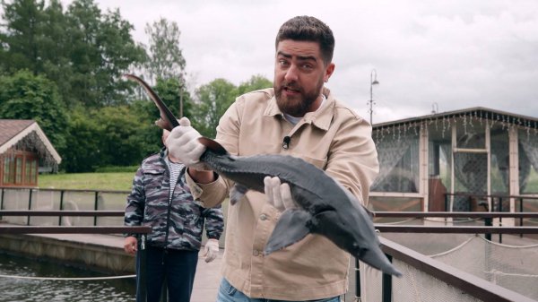 Гастротур: Санкт-Петербург