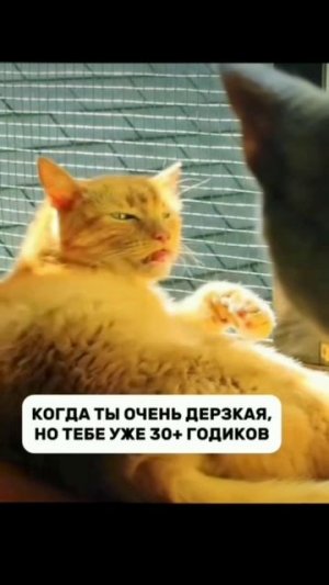 Файл 37.