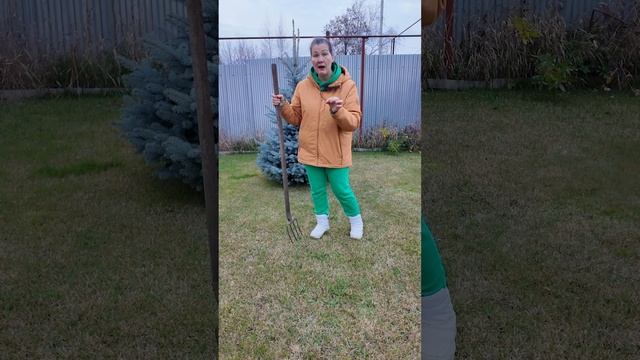 ГАЗОН ОСЕНЬЮ - УСПЕТЬ СДЕЛАТЬ ДЛЯ КРАСИВОЙ ЛУЖАЙКИ! ЗАЩИТА ОТ ВЫПРЕВАНИЯ, ПОКОС, УДОБРЕНИЕ ФЕРТИКА смотреть онлайн